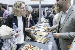 IMG 8518